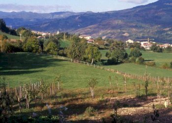 WhatsApp Image 2025-04-03 at 5.04.07 PM.jpeg - Terratetto - Terracielo Via Serra di Sotto 52, Pennabilli - foto 8