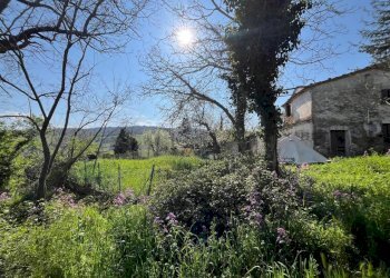 WhatsApp Image 2025-04-04 at 4.24.54 PM (7).jpeg - Villa Via Sarsinate 28, Talamello - foto 4