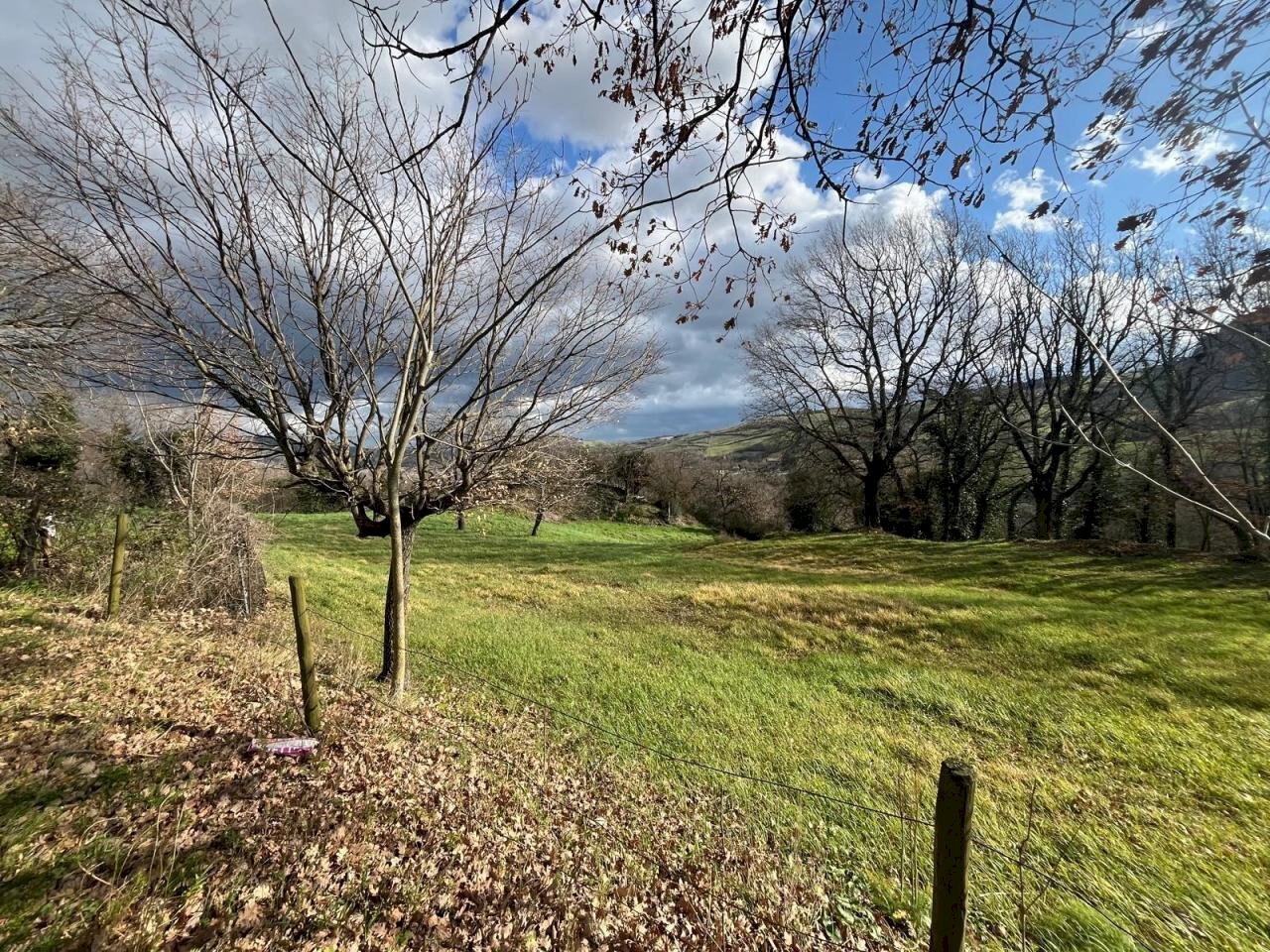 WhatsApp Image 2025-01-28 at 11.59.29 AM.jpeg - Terreno agricolo Via Uffogliano 14, Novafeltria - foto 2