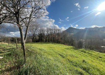 WhatsApp Image 2025-01-28 at 11.59.29 AM (2).jpeg - Terreno agricolo Via Uffogliano 14, Novafeltria - foto 1