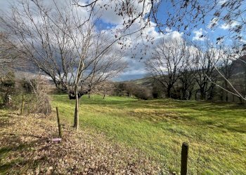 WhatsApp Image 2025-01-28 at 11.59.29 AM.jpeg - Terreno agricolo Via Uffogliano 14, Novafeltria - foto 2