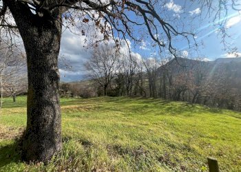 WhatsApp Image 2025-01-28 at 11.59.29 AM (1).jpeg - Terreno agricolo Via Uffogliano 14, Novafeltria - foto 4