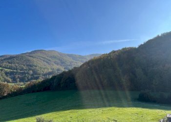 WhatsApp Image 2024-11-07 at 12.27.08 PM (7).jpeg - Terratetto - Terracielo Via Strada per Soanne 8, Pennabilli - foto 14