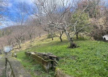 WhatsApp Image 2026-02-11 at 16.12.56 (3).jpeg - Terratetto - Terracielo soanne, Pennabilli - foto 8