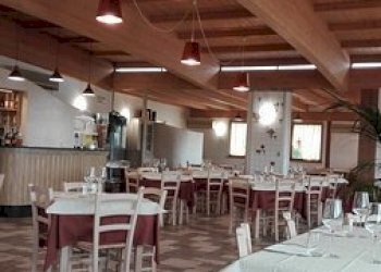 2.jpg - Ristorante Viale Europa, Viareggio - foto 8