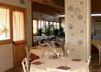 7.jpg - Ristorante Viareggio - foto 6
