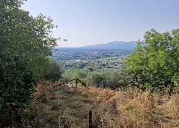 20250827_094748.jpg - Rustico Via montebonelli, Lucca - foto 1