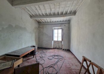 20250827_095744.jpg - Rustico Via montebonelli, Lucca - foto 2