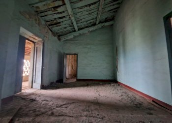 20250827_095750.jpg - Rustico Via montebonelli, Lucca - foto 3