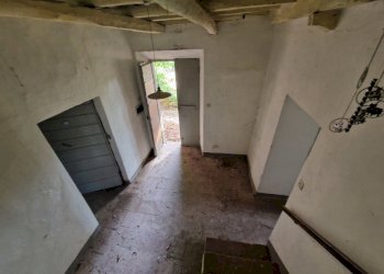 20250827_095952.jpg - Rustico Via montebonelli, Lucca - foto 5