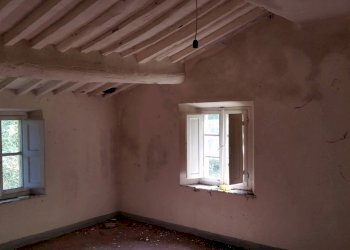 20150528_171400.jpg - Rustico Via montebonelli, Lucca - foto 7