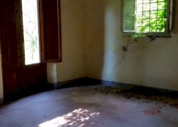 20150528_173107.jpg - Rustico Via montebonelli, Lucca - foto 11