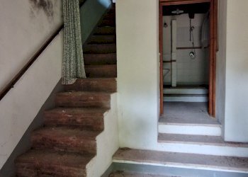 20250827_095416.jpg - Rustico Via montebonelli, Lucca - foto 21