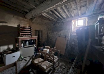 20250827_095605.jpg - Rustico Via montebonelli, Lucca - foto 28