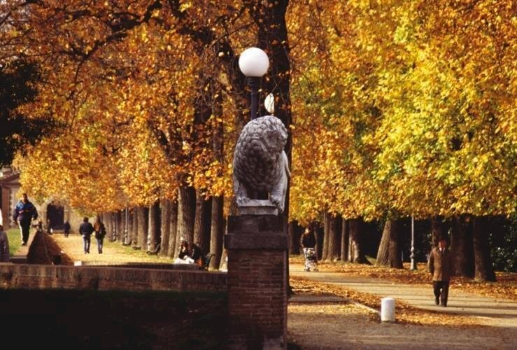 foto-hotel-4-stelle-a-lucca-38.jpg - Bed & Breakfast Via Degli Angeli, Lucca - foto 2