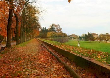 830_Lucca_walls_autumn.jpg - Bed & Breakfast Via Degli Angeli, Lucca - foto 4