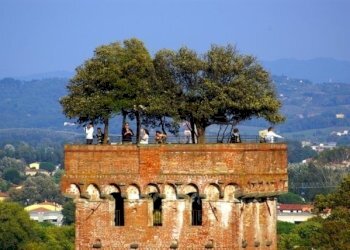 2436n1.jpg - Terratetto - Terracielo Via Degli Angeli, Lucca - foto 6