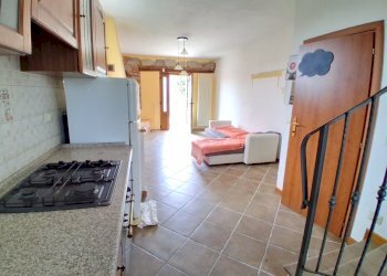 20250804_111002.jpg - Terratetto - Terracielo Via delle Gavine, Lucca - foto 3