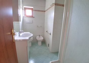 20250804_110726.jpg - Terratetto - Terracielo Via delle Gavine, Lucca - foto 8