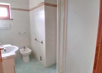 20250804_110822.jpg - Terratetto - Terracielo Via delle Gavine, Lucca - foto 11