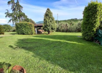 20250509_180404.jpg - Villa via vecchia i, Lucca - foto 11