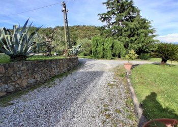 20250509_180408.jpg - Villa via vecchia i, Lucca - foto 13