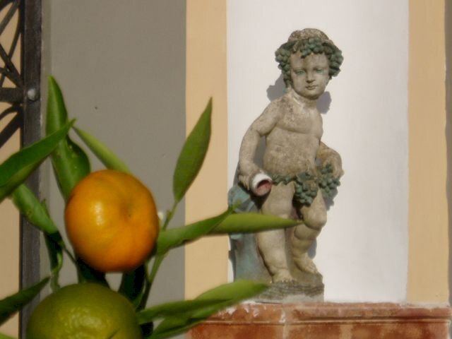 1.jpg - Albergo - Struttura ricettiva Via Vittorio Emanuele II, Lucca - foto 3