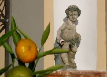 1.jpg - Albergo - Struttura ricettiva Via Vittorio Emanuele II, Lucca - foto 3