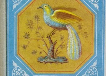 4-affreschi 010.jpg.jpg - Albergo - Struttura ricettiva Via Vittorio Emanuele II, Lucca - foto 7