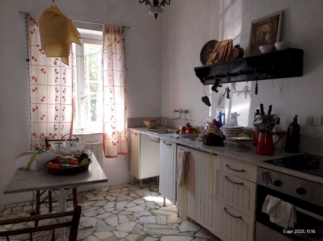 IMG-20250415-WA0012.jpg - Terratetto - Terracielo Via dei Landucci, Lucca - foto 2