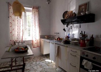 IMG-20250415-WA0012.jpg - Terratetto - Terracielo Via dei Landucci, Lucca - foto 2