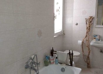 IMG-20250415-WA0025.jpg - Terratetto - Terracielo Via dei Landucci, Lucca - foto 16