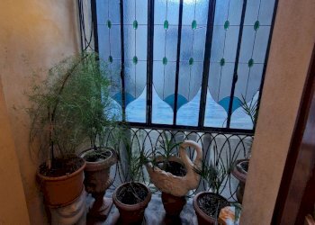 20250221_162408.jpg - Appartamento piazza san pietro somali, Lucca - foto 10