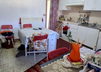 20250318_110029.jpg - Terratetto - Terracielo SS439, Lucca - foto 2