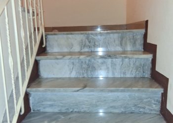 20250318_105639.jpg - Terratetto - Terracielo SS439, Lucca - foto 4