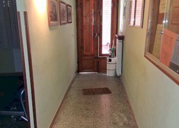 20250318_105642.jpg - Terratetto - Terracielo SS439, Lucca - foto 6