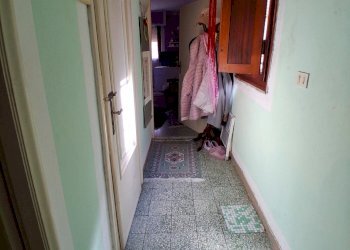 20250318_110044.jpg - Terratetto - Terracielo SS439, Lucca - foto 9