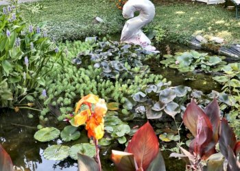 1007911.jpeg - Villa Via Ceppo di Melo, Lucca - foto 7