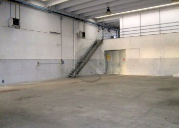 7057-AFFITTO-CESENA-TORREDELMORO-CAPANNONE_-001.jp - Magazzino Via di Salicchi, Lucca - foto 6