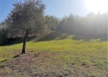 3.jpg - Agricultural land Via San Donato 925/A, Lucca - photo 3