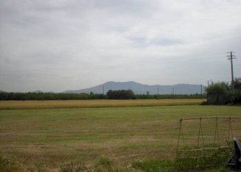 7.jpg - Agricultural land Via San Donato 925/A, Lucca - photo 7