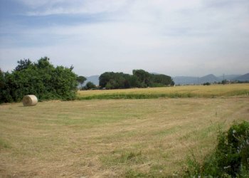 10.jpg - Agricultural land Via San Donato 925/A, Lucca - photo 10