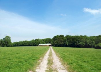 11.jpg - Agricultural land Via San Donato 925/A, Lucca - photo 11