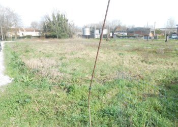 23.JPG - Agricultural land Via San Donato 925/A, Lucca - photo 13