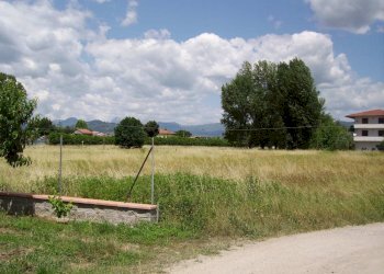 IMGP0245.JPG - Agricultural land Via San Donato 925/A, Lucca - photo 21