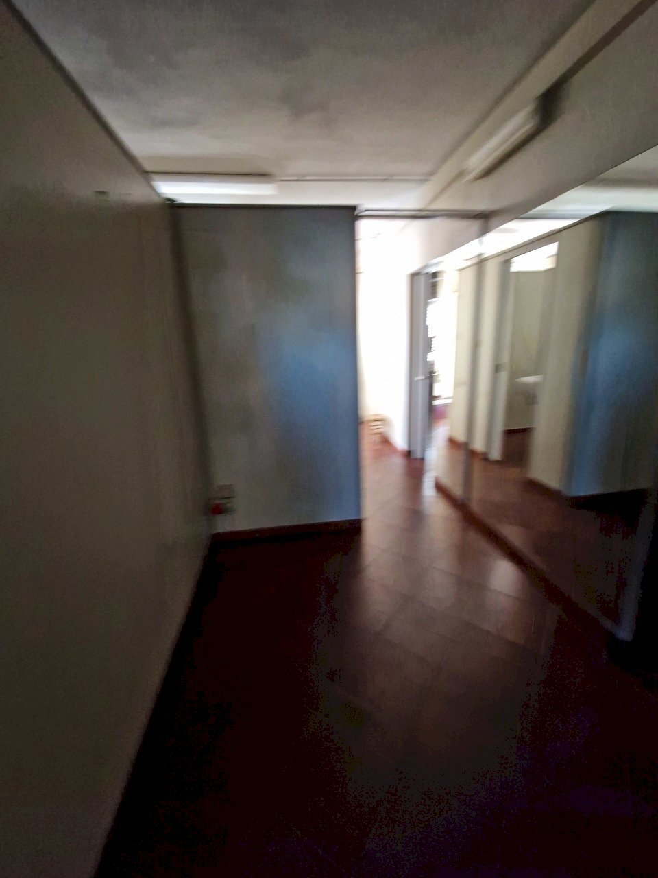 20250207_141013.jpg - Commercial Premises Viale G. Puccini 254, Lucca - photo 3