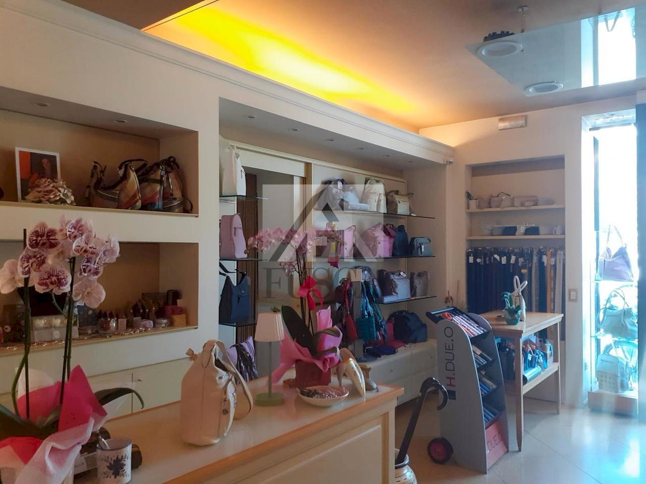 lucca-FONDO-COMMERCIALE-fusca_15.jpg - Commercial Premises Viale G. Puccini, Lucca - photo 3