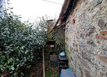 20241217_160849.jpg - Terratetto - Terracielo Via di Balbano, Lucca - foto 3