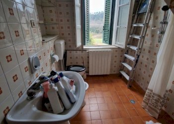 20241217_161350.jpg - Terratetto - Terracielo Via di Balbano, Lucca - foto 7