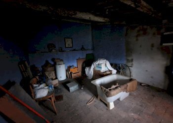 20241217_161507.jpg - Terratetto - Terracielo Via di Balbano, Lucca - foto 10